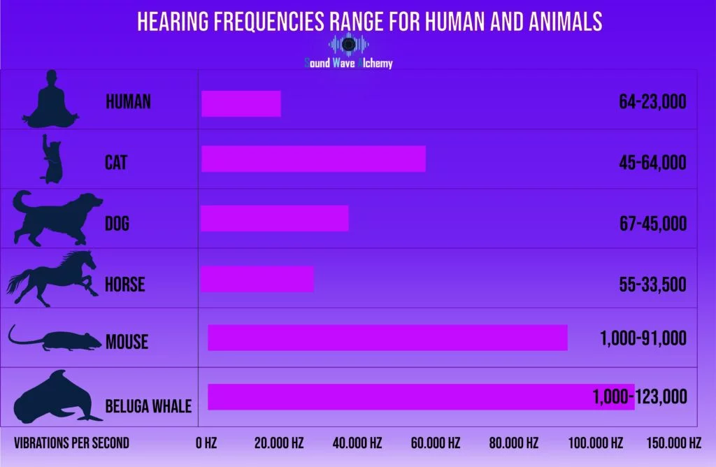 hearing frequencies chart for human and animals